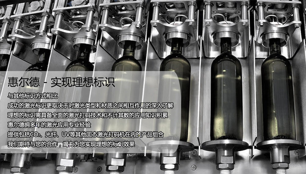 惠爾德HED-CO2 3000系列激光打碼機(圖2)